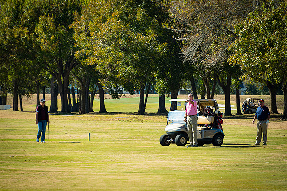 Honor Flight- Golf 11-2019017