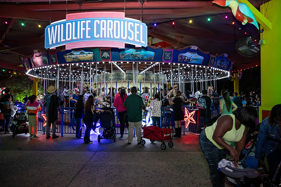 2024_St_Lukes_Zoo_Camera_1-370