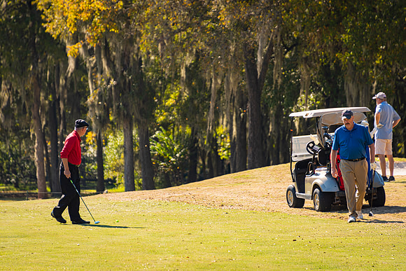 Honor Flight- Golf 11-2019041