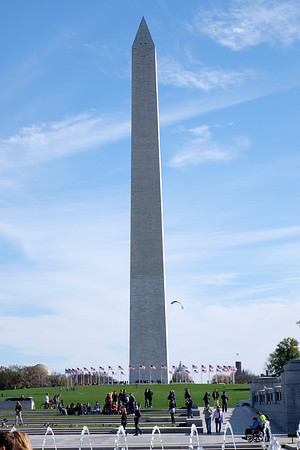 DSCF3982