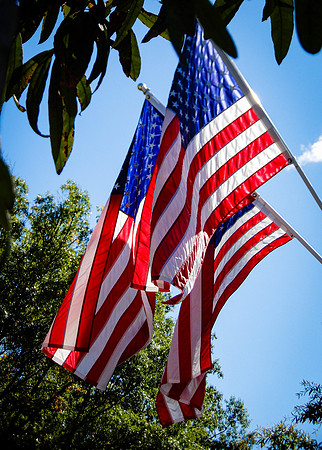 Honor Flight-10-2019456