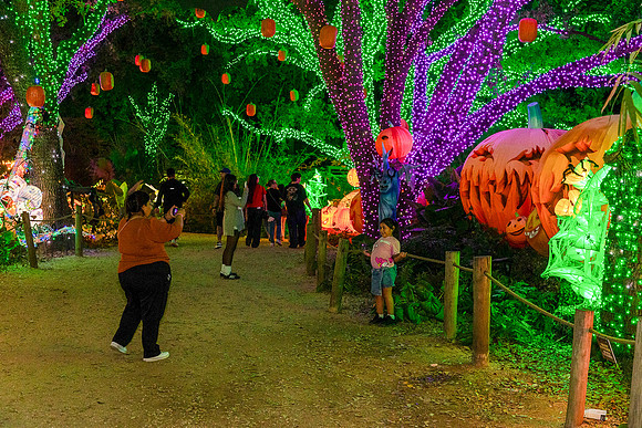 _88A8383