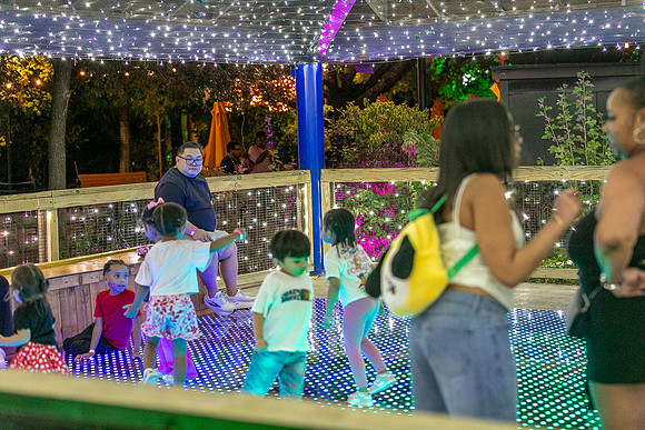 _A1_8138