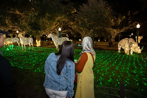 2024_St_Lukes_Zoo_Camera_1-325