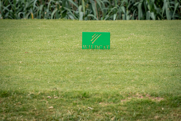 KO_Golf-1921