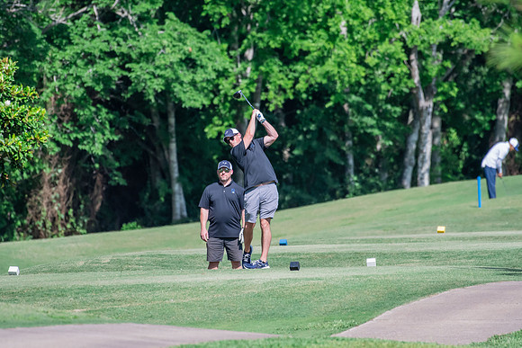 H-PAMA_-7590