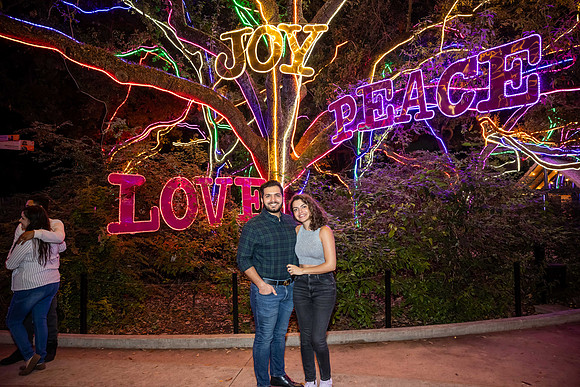 2024_St_Lukes_Zoo_Camera_1-448