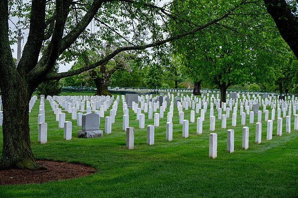 Honor_Flight_1-28-1203