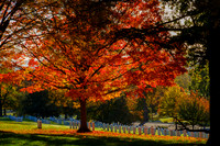 DSCF5322-2