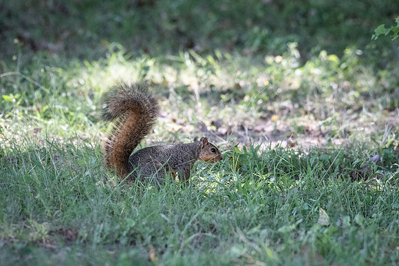 DSC_5192