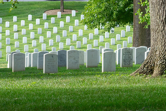 09-HF37_Arlington-1