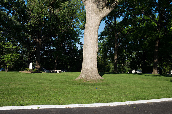 DSCF7961