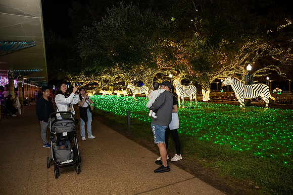 2024_St_Lukes_Zoo_Camera_1-140