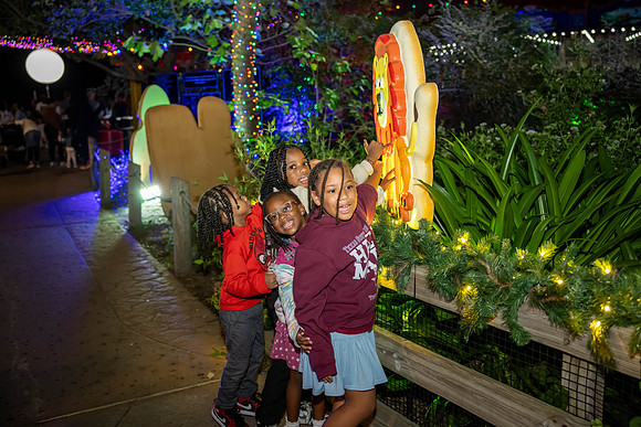 2024_St_Lukes_Zoo_Camera_1-420