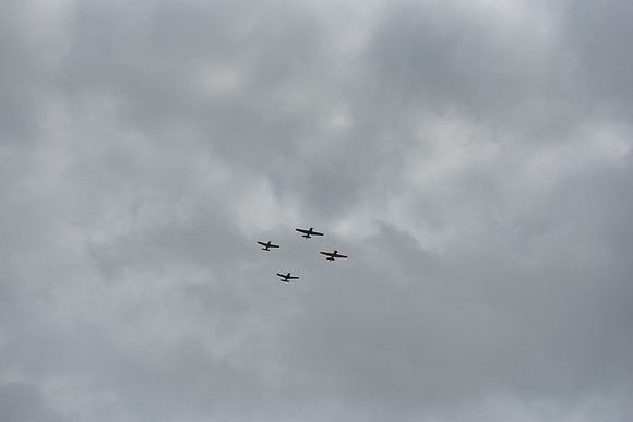 DSC_1548