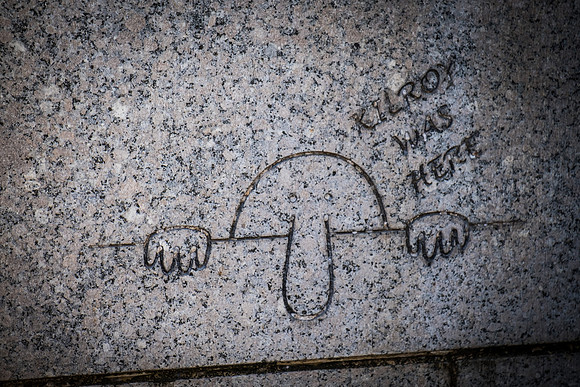 DSCF2896