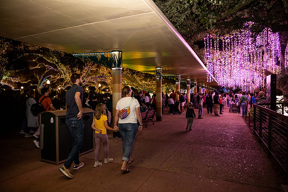 2024_St_Lukes_Zoo_Camera_1-59