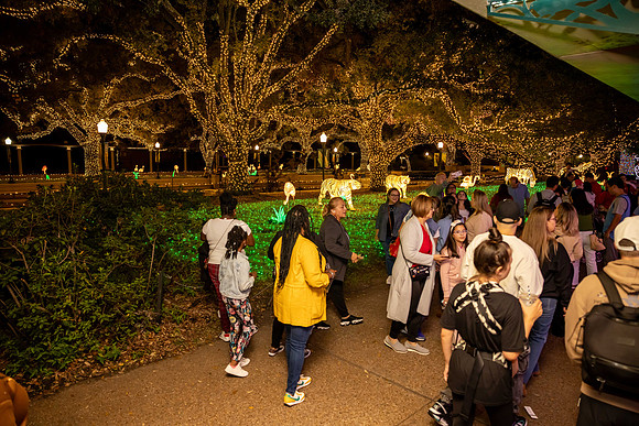 2024_St_Lukes_Zoo_Camera_1-66