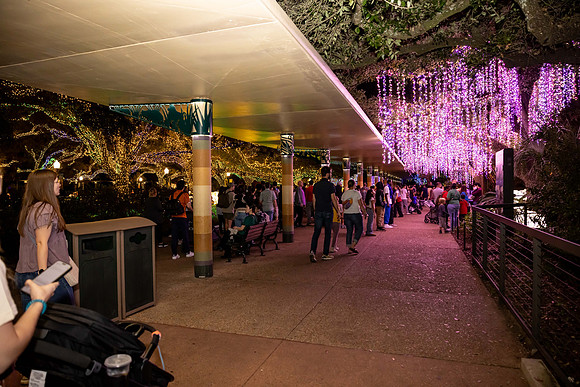 2024_St_Lukes_Zoo_Camera_1-60
