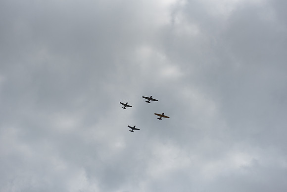 DSC_1550