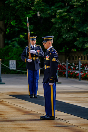DSCF0784