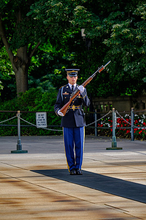 DSCF0806