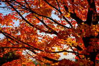DSCF5329-2