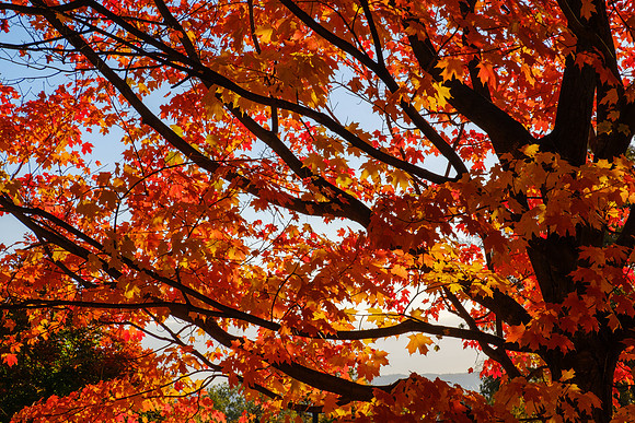 DSCF5329-2