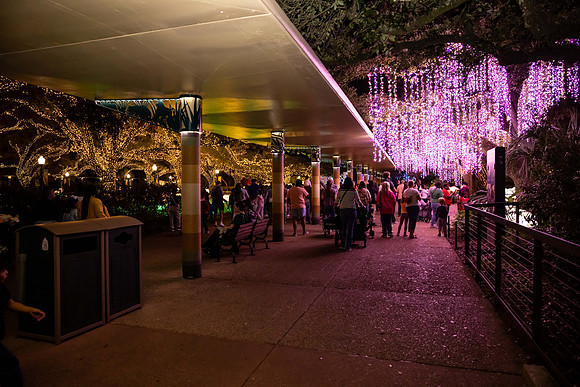 2024_St_Lukes_Zoo_Camera_1-62