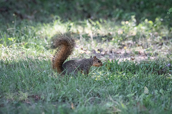 DSC_5191