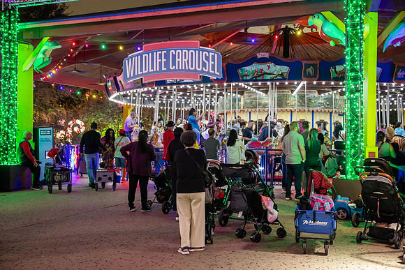 2024_St_Lukes_Zoo_Camera_1-399