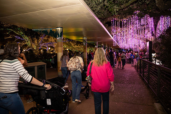 2024_St_Lukes_Zoo_Camera_1-61