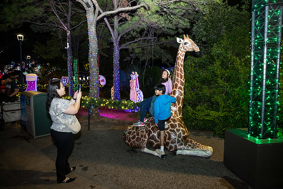 2024_St_Lukes_Zoo_Camera_1-368