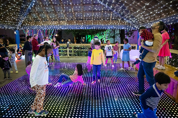 2024_St_Lukes_Zoo_Camera_1-410