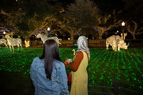 2024_St_Lukes_Zoo_Camera_1-326