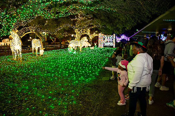 2024_St_Lukes_Zoo_Camera_1-80