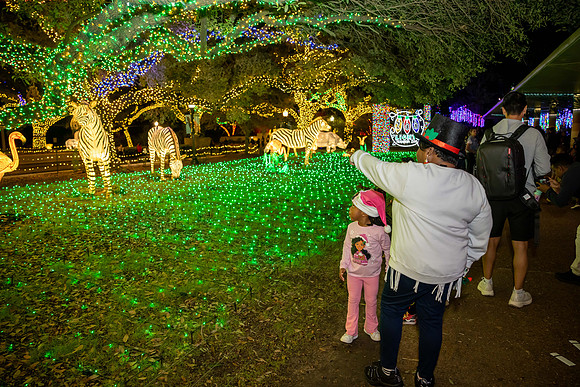 2024_St_Lukes_Zoo_Camera_1-79
