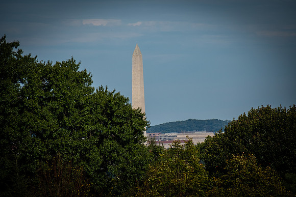 DSCF5531
