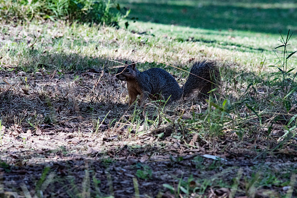 DSC_2166