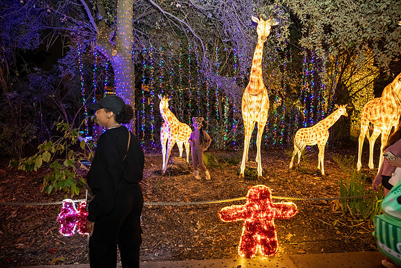 2024_St_Lukes_Zoo_Camera_1-394