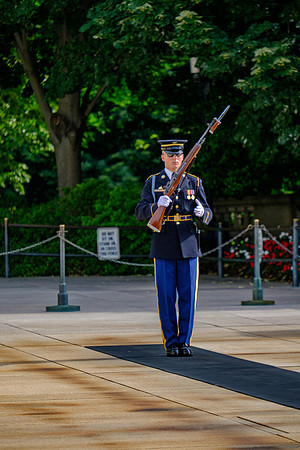 DSCF0801