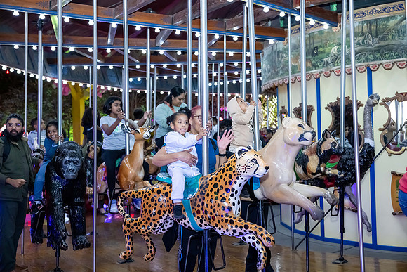 2024_St_Lukes_Zoo_Camera_1-375