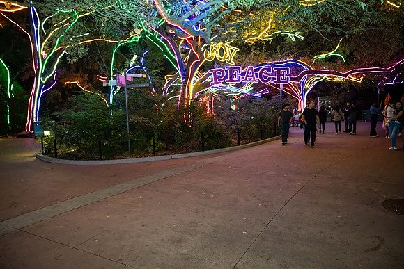 2024_St_Lukes_Zoo_Camera_1-354
