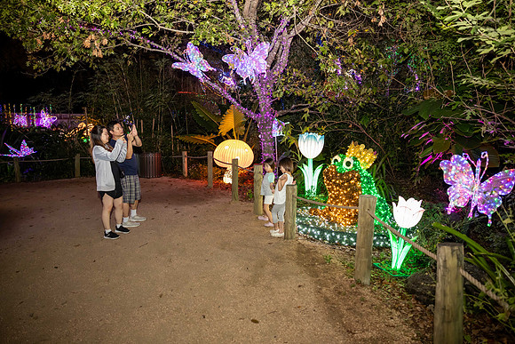2024_St_Lukes_Zoo_Camera_1-429
