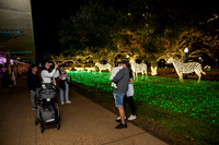 11162024_ST_LUKES