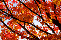 DSCF5331-2