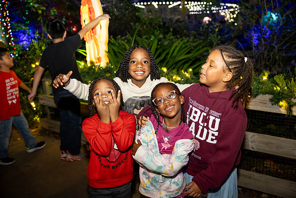 2024_St_Lukes_Zoo_Camera_1-421