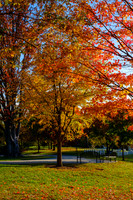 DSCF5332-2