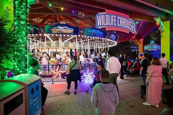 2024_St_Lukes_Zoo_Camera_1-428