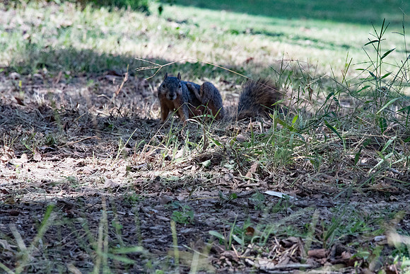 DSC_2167